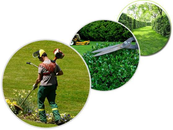 Lire la suite à propos de l’article Reprise de la saison des espaces verts