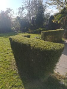 Lire la suite à propos de l’article SAISON ESPACES VERTS